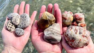 The Most Unusual Puddingstone I Have Ever Found Plus Amazing Banded Chert and Petoskey Stones [upl. by Nyltiak]