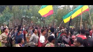 addis dimta abebe belew abebebelew addisdimts amhara fano zemedkunbekele zemedkun [upl. by Yatnuhs]