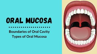 Oral cavity Boundaries  Types of oral mucosa [upl. by Jodi778]