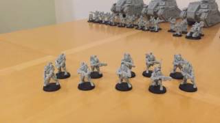 Solar Auxilia Veletaris Storm Section Model and Rules Review [upl. by Akoek]