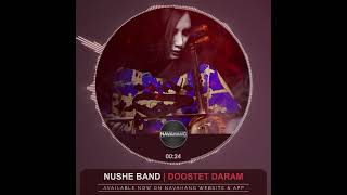 persian music  Nushe Band  Niusha Barimani  Kamancheh [upl. by Arrat]