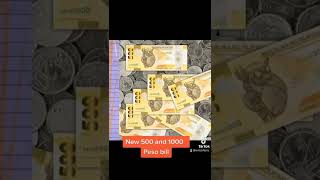 New Philippine money for 500 amp 1000 peso bills [upl. by Aneekat]