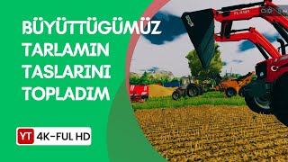 BUYUTULEN TARLALARIMIN TASLARINI TOPLADIM  INEKLERIME SAMAN VERDIM  4K FULL HDM [upl. by Amej]