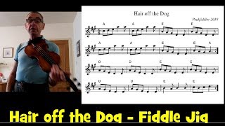 A Fiddle Jig  Hair off the Dog [upl. by Nesline970]