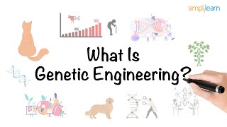 Genetic Engineering in 6 minutes  What Is Genetic Engineering  Genetics  Simplilearn [upl. by Fennelly217]