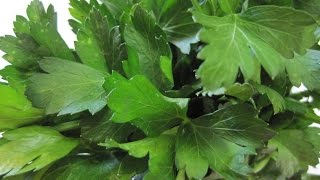 Two 2 TIPS On storing FRESH PARSLEY  How to store PARSLEY [upl. by Mickey703]