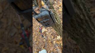 Finding my trail cam after being lost for 8 months opwall wildwatch wildtech rosewoods [upl. by Heron]