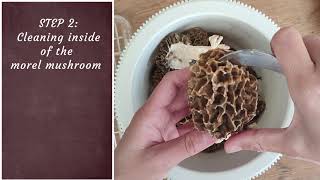 Mastering Morel Mushroom Cleaning Easy Steps [upl. by Ihdin]