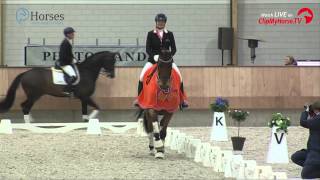 KNHS Indoor Kampioenschap Dressuur  Dutch Champion´s  2014 [upl. by Lindner]