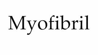 How to Pronounce Myofibril [upl. by Kerril]