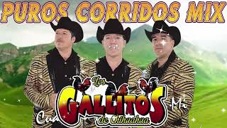 Los Gallitos De Chihuahua  Las Mejores Canciones  Corridos y Rancheras  Mix Para Pistear [upl. by Tunnell]