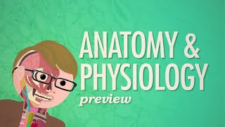 Crash Course Anatomy amp Physiology Preview [upl. by Ymereg208]