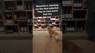 Maverick reviews Uncorked Chetek MaverickApproved SixLakesRealty MaverickRealtor UncorkedChetek [upl. by Nanyt861]