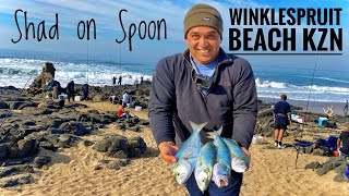 Catching Shad on Spoon at Winklespruit Beach  Fishing in Durban KZN [upl. by Tatianas]