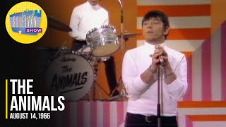 The Animals quotDont Bring Me Downquot on The Ed Sullivan Show [upl. by Docilla535]