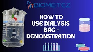 How to use Dialysis tubes or Bag  Protein Dialysis Demonstration [upl. by Anol201]