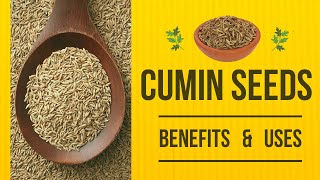 Benefits and Uses of Cumin Seeds that Will Surprise You [upl. by Akaya]