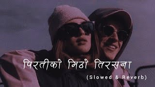 Pirati Ko Mitho TirsanaSlowedReverb Tara Prakash Limbu Melina Rai r e v e r b Nepal [upl. by Anderer]