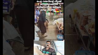 വിശപ്പിന്റെ വിലയറിയുന്നവൻ ❤️ dog viralvideo youtubeshorts shortsfeed reaction [upl. by Iew562]