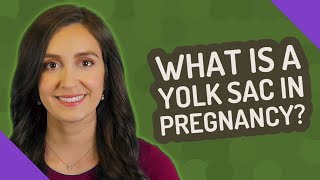 What is a yolk sac in pregnancy [upl. by Kablesh]