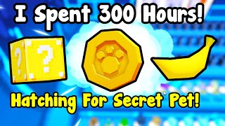 I Spent 300 Hours Hatching For Secret Pet  Pet Simulator 99 Roblox [upl. by Nalyad]