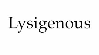 How to Pronounce Lysigenous [upl. by Bouldon134]