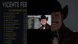 VICENTE FERNANDEZ LO MEJOR DE LO MEJOR SUS GRANDES CANCIONES [upl. by Cuthbertson]