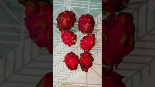 dragon fruithealthy fruit ytshorts food dragofruitviralvideo viralsong [upl. by Mulderig]