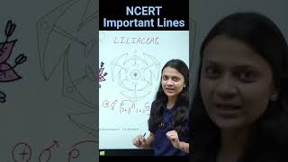 Liliaceae Family  Revision Biology NEET  NCERT important lines for NEET  medicalentrance neet [upl. by Woodson]