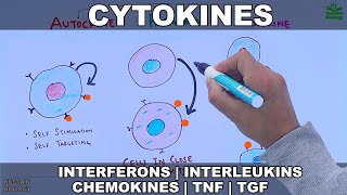 Cytokines  Classification and Functions [upl. by Eniladam]