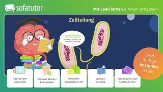 Bakterien – Aufbau einfach erklärt – Biologie 7 amp 8 Klasse [upl. by Laks]