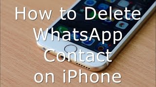 How to Delete WhatsApp Contact on iPhone and iPad [upl. by Kinny]