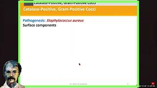 Diagnostic Microbiology Staphylococci [upl. by Tomkins811]