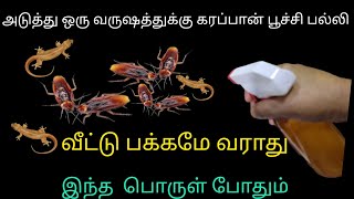 இனி கரப்பான்பூச்சி பல்லி தொல்லை வீட்டில் இல்லை  cockroach killerkitchen tips in tamil tips [upl. by Adiv293]