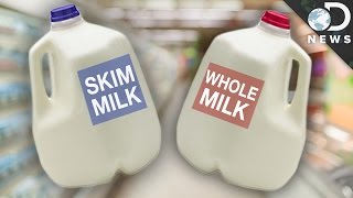 Whole vs Skim Which Milk Is Better For You [upl. by Salim]