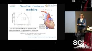 Simulationbased treatment planning in pediatric cardiology [upl. by Nivac655]