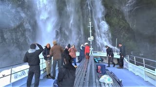 New Zealand Road Trip Milford Sound Cruise Sunshine Wildlife Waterfalls [upl. by Yrem]