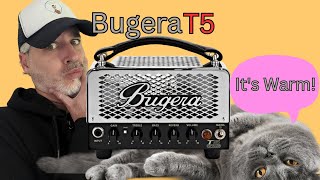 Is the Bugera T5 Tube Amp Head the Best Budget Amp for Guitarists [upl. by Eeuqram]