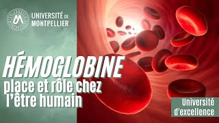 Transfusion de concentrés de globules rouges [upl. by Ayt]