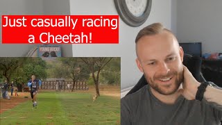 Rob Reacts to Bryan Habana  Tribute  Racing a Cheetah [upl. by Neenwahs73]