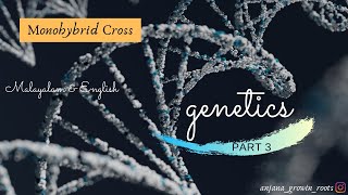 Monohybrid cross  Malayalam  Genetics 6th Semester  Degree  NEET Biology [upl. by Nairb]