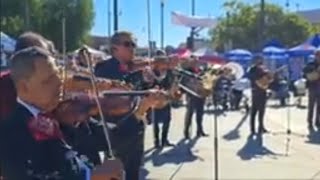 MARIACHI FESTIVAL FIESTA SANTA CECILIA 2024 MISA  LOS ANGELES CALIFORNIA [upl. by Stanislaus373]