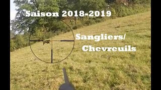 Saison de malade  Sangliers amp Chevreuils au poste 2019 [upl. by Eneja734]