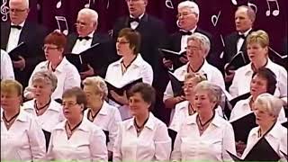 GEFANGENENCHOR von VERDI mit dem GEM CHOR aus WERISCHWAR 2014 [upl. by Trab]