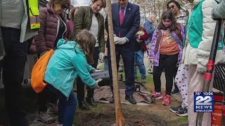 Tree planting grants awarded to Holyoke Springfield amp Westfield [upl. by Nanon480]