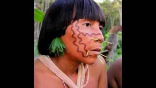 Tribes of the Amazon Rainforest  Yanomami Yekuana and Piaroa [upl. by Ahsinyd]