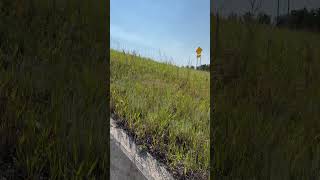 Biking on The Mickelson Trail South Dakota part 10 [upl. by Lally]