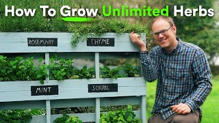 Grow Unlimited Herbs for Free Using an Old Pallet [upl. by Holub]