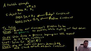 Utility Maximization with Multiple Constraints Example 1 [upl. by Ulysses]