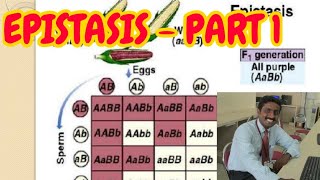 EPISTASIS PART 1  TAMIL EXPLANATION [upl. by Aivata899]